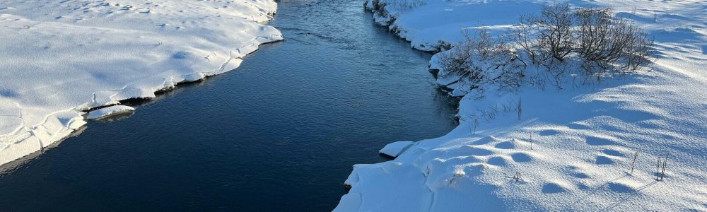 Nulla amet dolore Nulla amet dolore